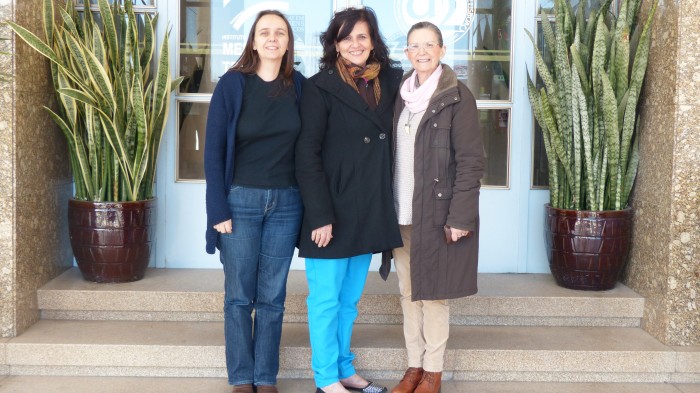 Carla Maia (coorientadora), Hilda Hernández, Odete Afonso (orientadora)