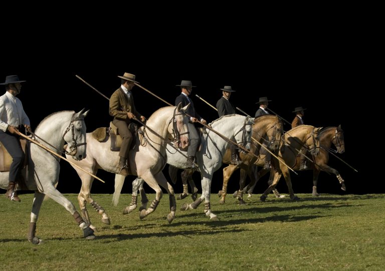 Equestre - 768x540